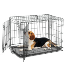 Cages pour chiens résistantes à la corrosion/cage pour animaux de haute qualité